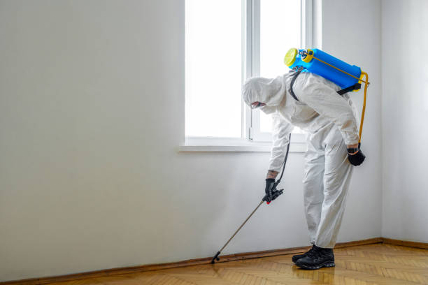 Emergency Pest Control in Clermont, GA